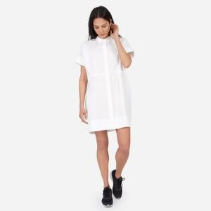 Everlane shirt dress L